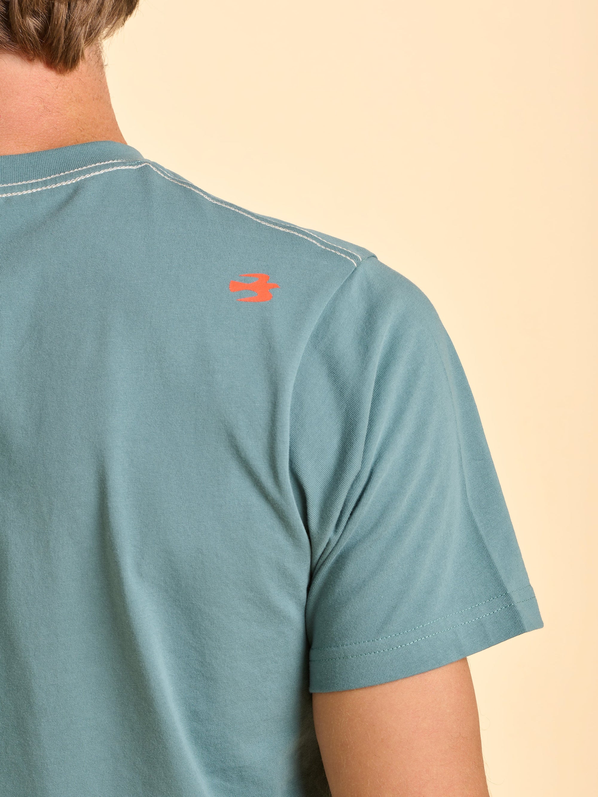 Devenish Tshirt