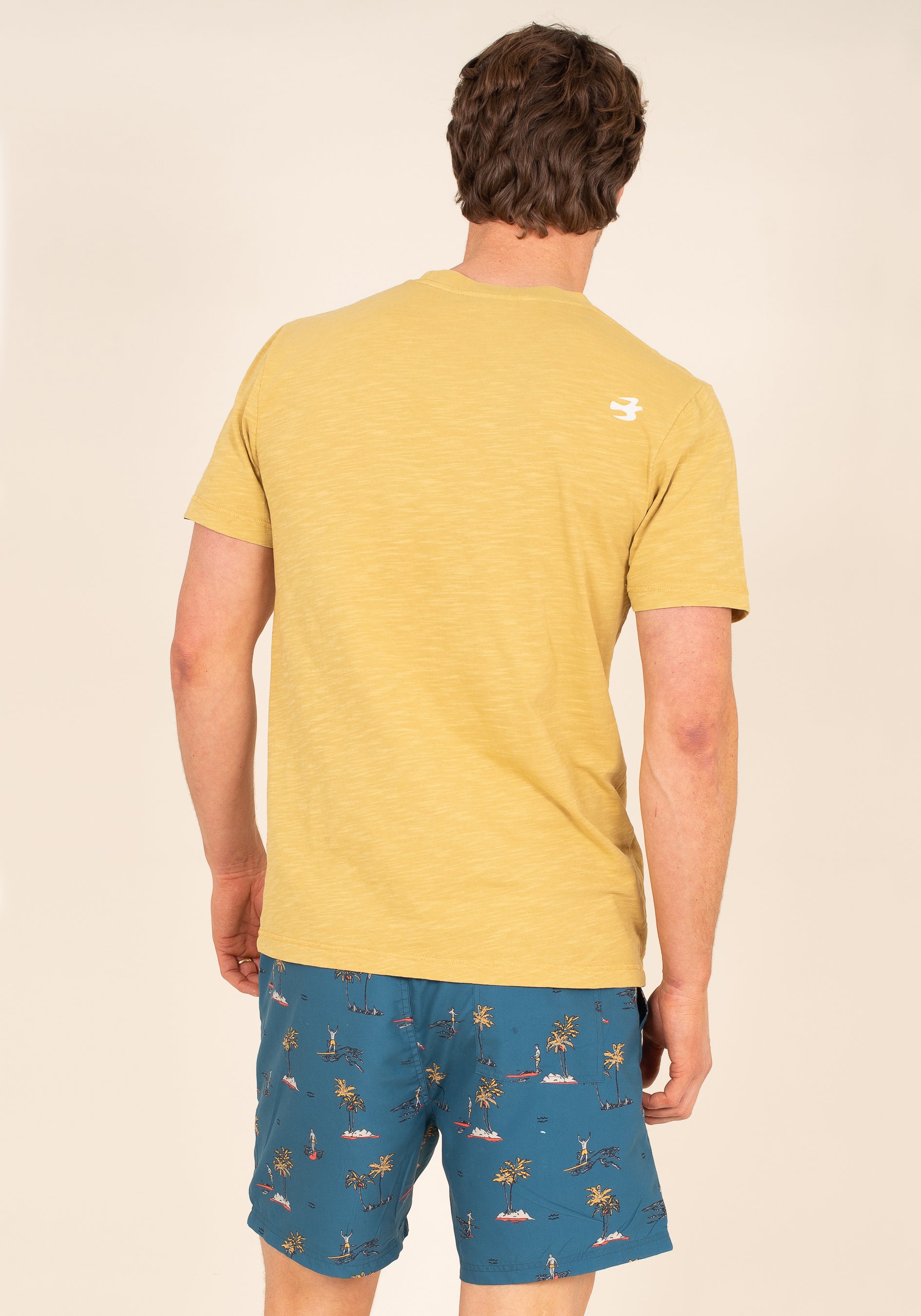 Printed Board Shorts