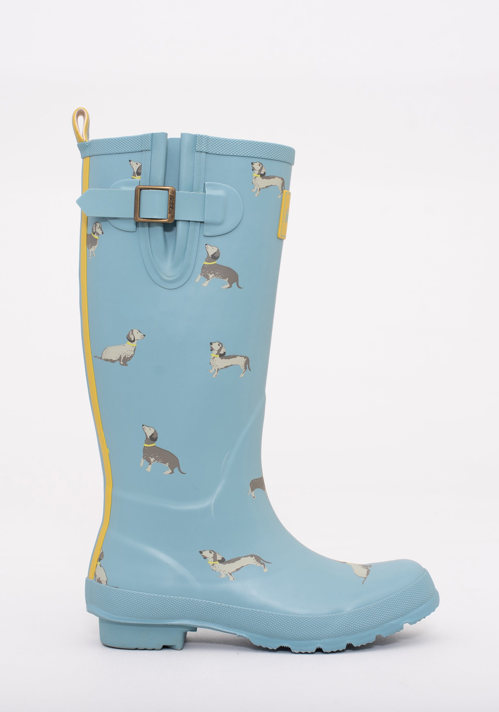 Sausage Dog Wellies