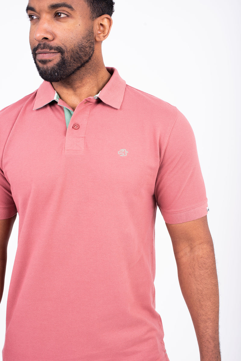 Pink Polo