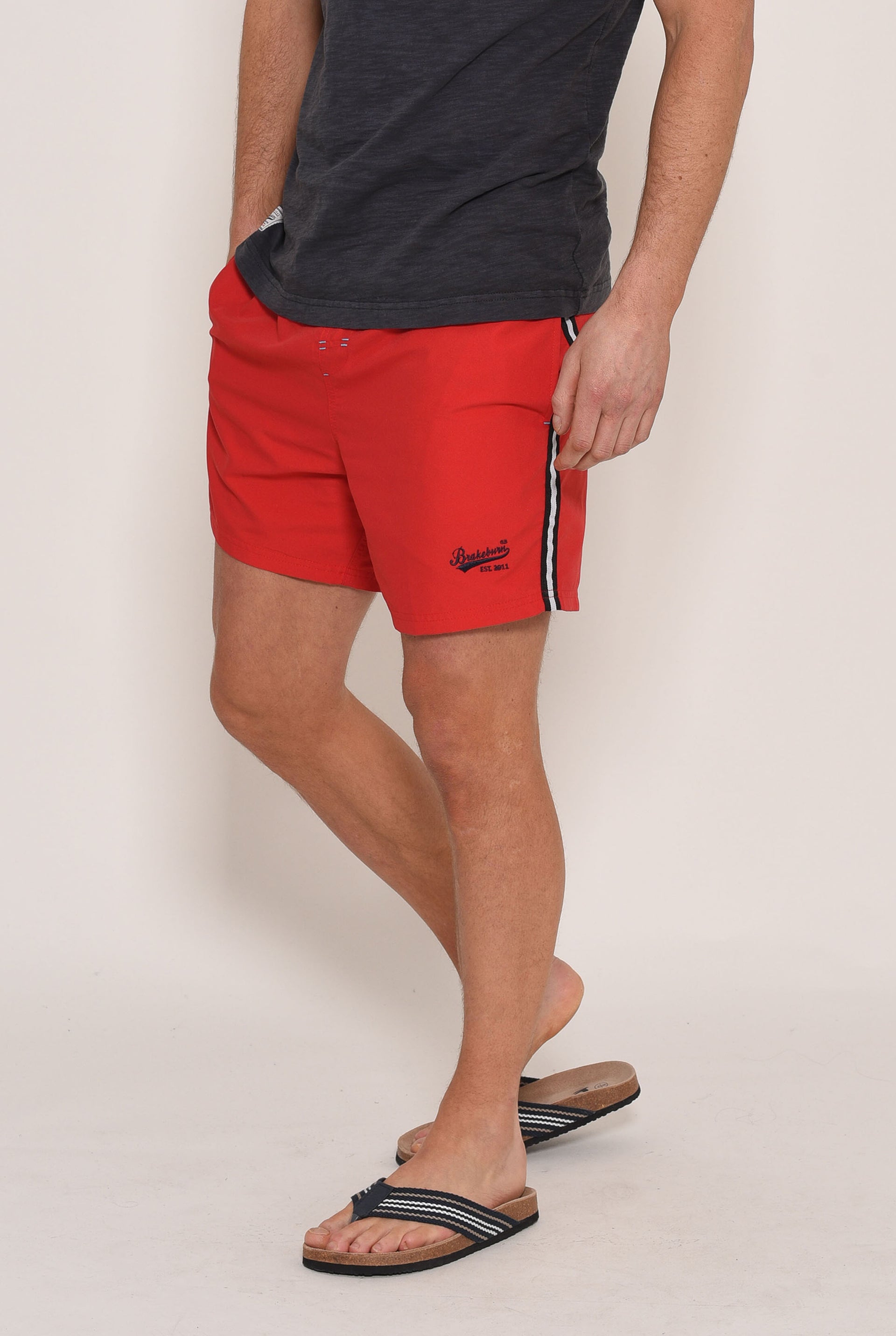 Stripe Boardshorts